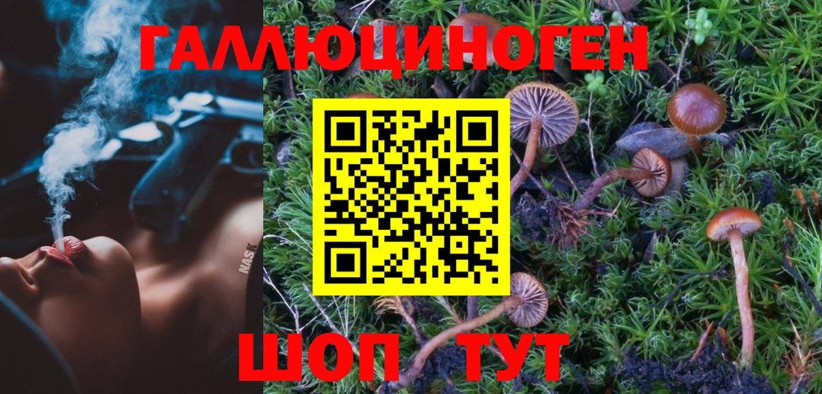 Псилоцибиновые грибы Magic Shrooms Тула